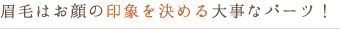 眉毛はお顔の印象を決める大事なパーツ！